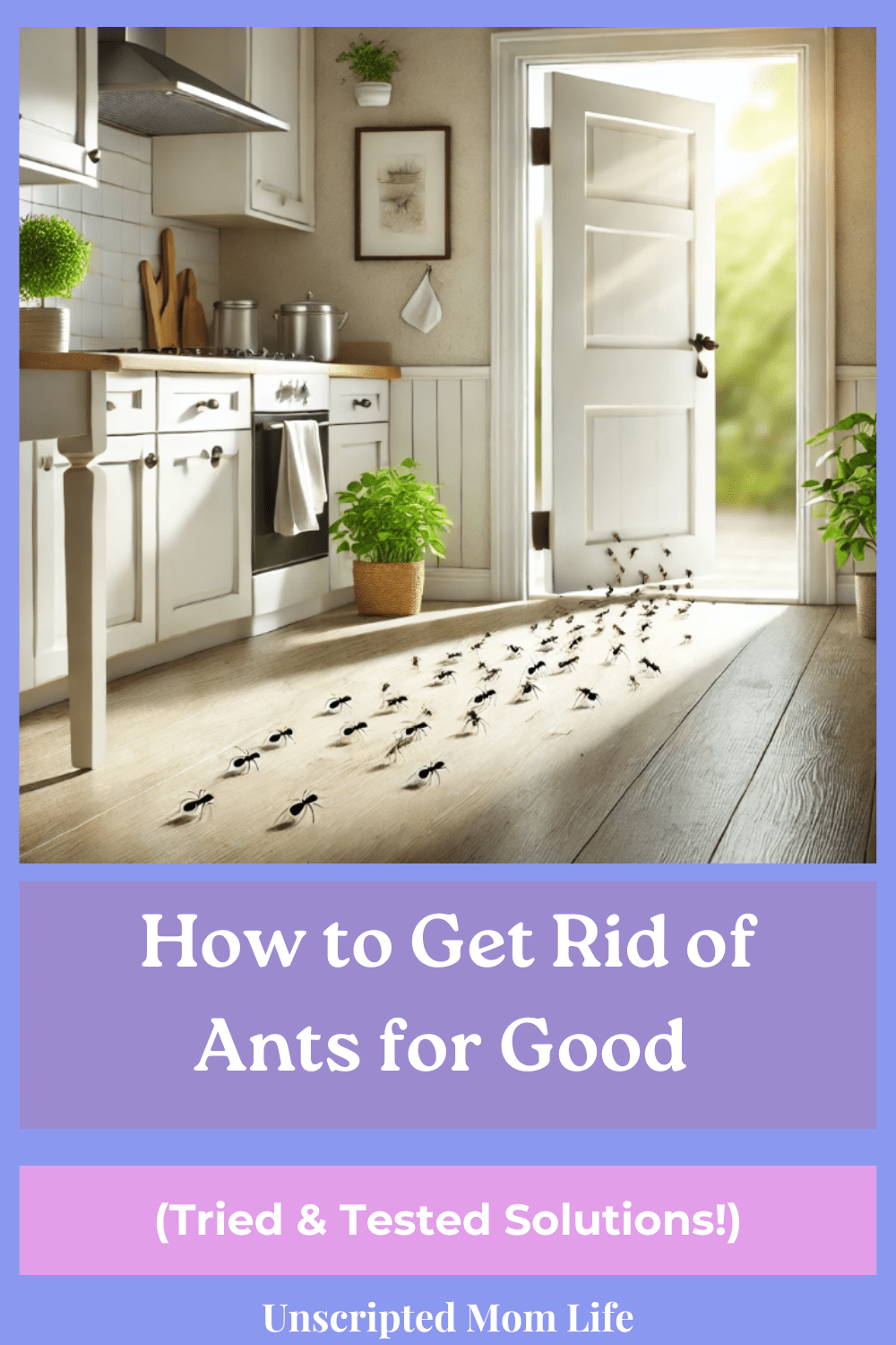 Get Rid of Ants for Good pin