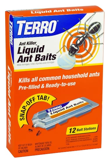 Get Rid of Ants for Good