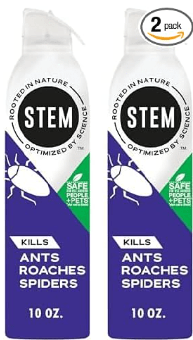 Get Rid of Ants for Good